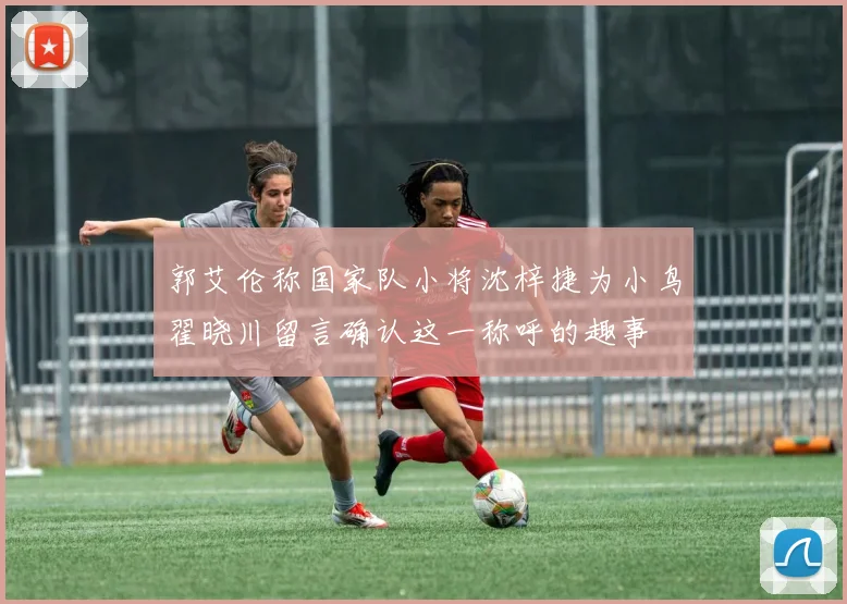 郭艾伦称国家队小将沈梓捷为小鸟翟晓川留言确认这一称呼的趣事