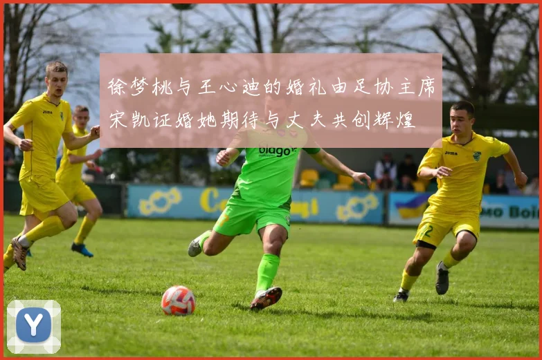 徐梦桃与王心迪的婚礼由足协主席宋凯证婚她期待与丈夫共创辉煌