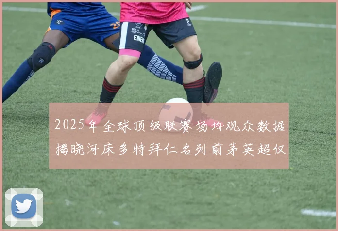 2025年全球顶级联赛场均观众数据揭晓河床多特拜仁名列前茅英超仅排第20位